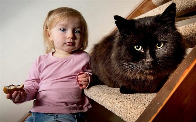 Gerçek 'Kara Kedi' - Resim: 3