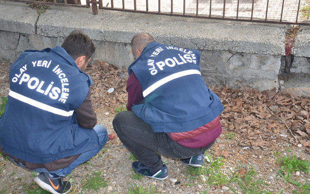 Kahramanmaraş'ta toprağa gömülen cenini köpekler bulup çıkardı - Resim: 0