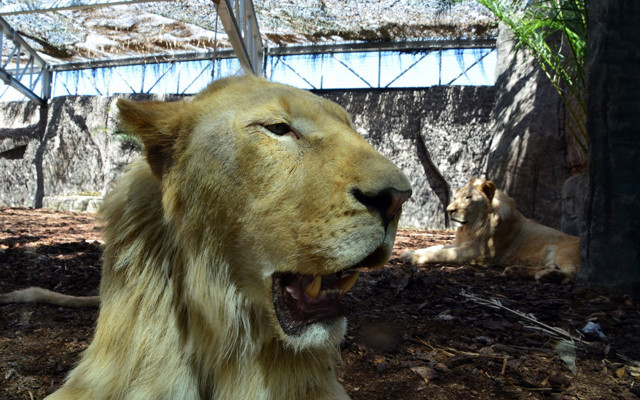 Dünyada 30 tane ama 4'ü Türkiye'de - Resim: 0