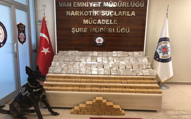 Park halindeki otomobilden çıkanlar herkesi şoke etti! - Resim: 0