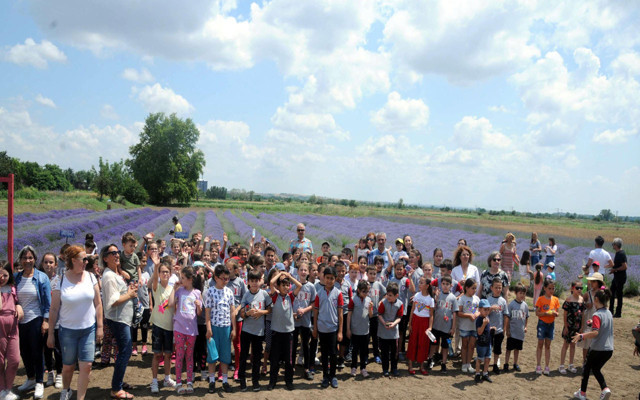 Edirne'ye gidenler lavanta tarlalarını ziyaret etmeden dönmesin - Resim: 0