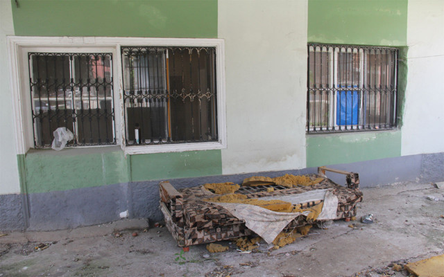 Çekyatı parçalayan köpek serveti ortaya çıkardı! - Resim: 0