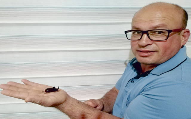 Dünya'nın en güçlü hayvan türlerinden biri! Gergedan böceği nerede bulundu - Resim: 0