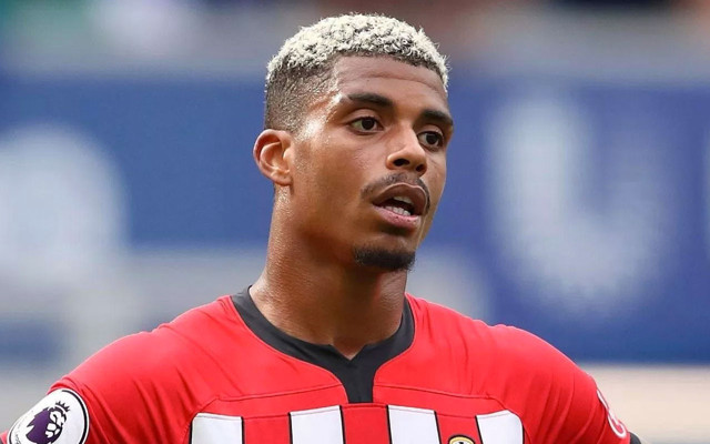 mario lemina