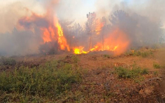 Bursa’daki orman yangınlarının failleri yakalandı - Resim: 0