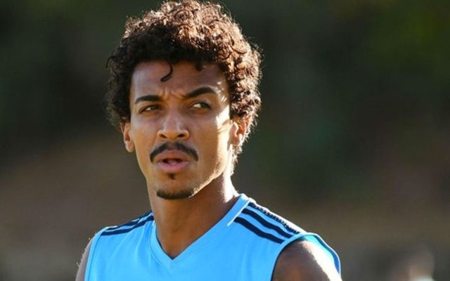 Fenerbahçe'nin yeni transferi Luiz Gustavo: Savaşçı kimliğim ailemden geliyor - Resim: 0