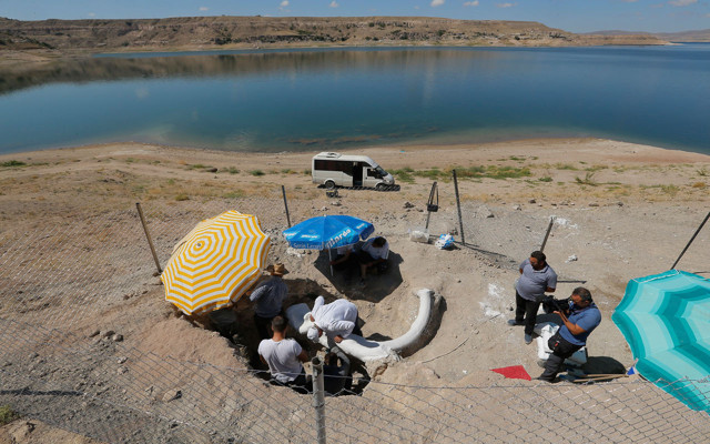 Kayseri'de 7,5 milyon yıllık fillerin atasına ait fosil alçı ceket yöntemiyle taşındı - Resim: 0