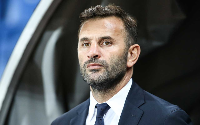 Başakşehir Wolfsberger UEFA Avrupa Ligi maçı golleri ve geniş özeti - Resim: 4