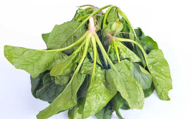 İstanbul'da ıspanak zehirlenmesi! Sebebi açıklandı işte zehirleyen otun resmi - Resim: 1