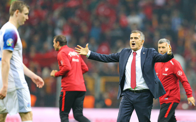 Türkiye İzlanda maçı golleri ve geniş özeti - Resim: 2