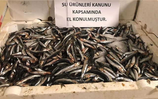 Marmara Denizi'nde denetim! 53 ton balığa el konuldu - Resim: 0