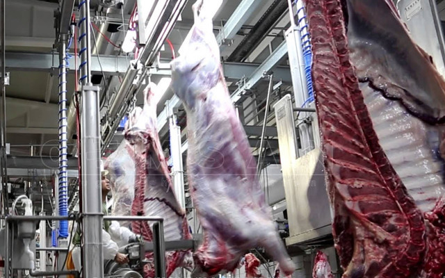 Bursa'da şarbon hastalığı tespit edilen mezbaha ve hayvan pazarı kapatıldı - Resim: 0