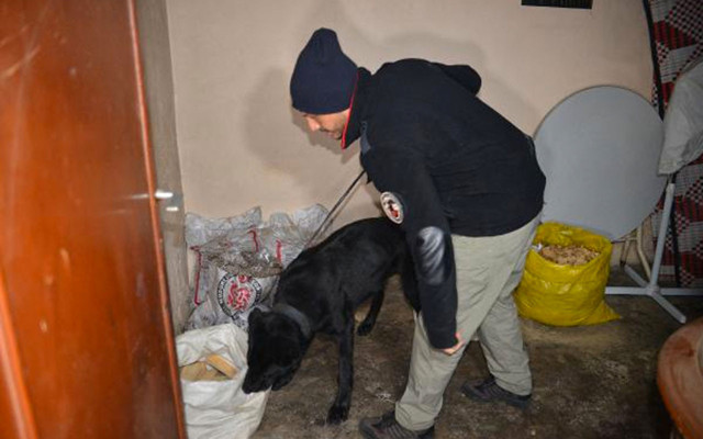 Adana'da uyuşturu tacirlerine şafak vakti operasyonu 40 gözaltı! - Resim: 1