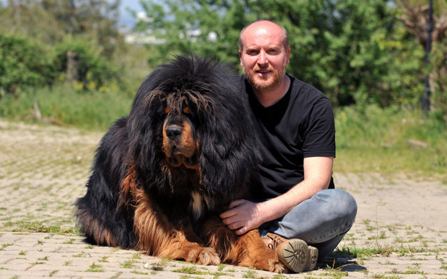 Bursa'da 12 ülkeye cins köpek satıyor değeri 300 bin TL olan da var - Resim: 2