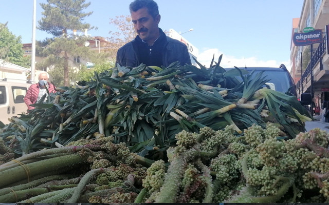 'Işkın' kanser savar olarak biliniyor Doğu Anadolu'da yayla muzu diyorlar - Resim: 0