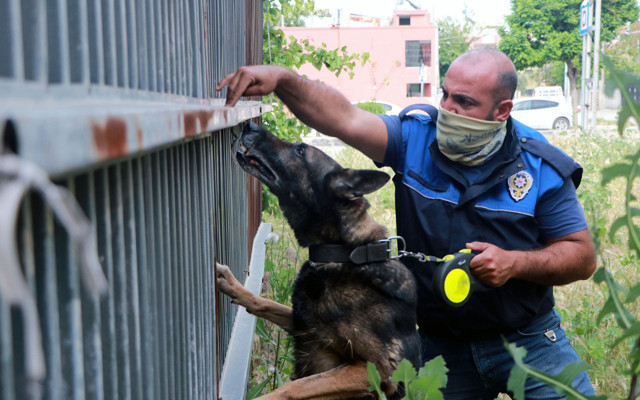 Adana'da 400 polis ile birlikte narkotik uygulaması - Resim: 1