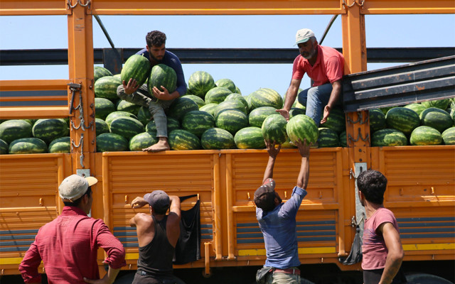 Türkiye'den karpuz kararı! Bu sene Adana karpuzu yenecek - Resim: 1