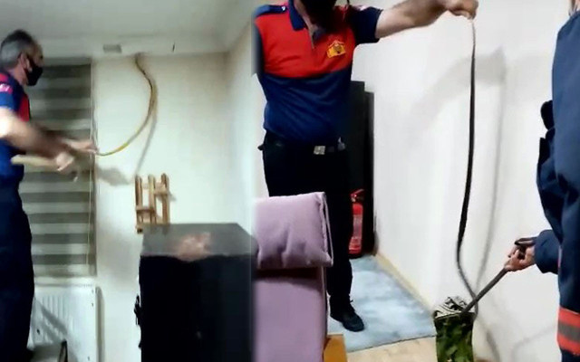 Düzce'de kartonpiyerden çıkana bakın klimadan girmişler - Resim: 0