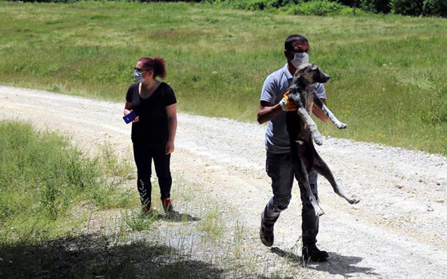 Kırklareli'ndeki vahşeti görenler 'İnsanlık ölmüş' dedi - Resim: 0
