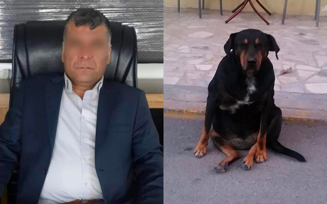 İstanbul'da iğrenç olay! Bir ay boyunca köpeğe işkence ve tecavüz! - Resim: 0