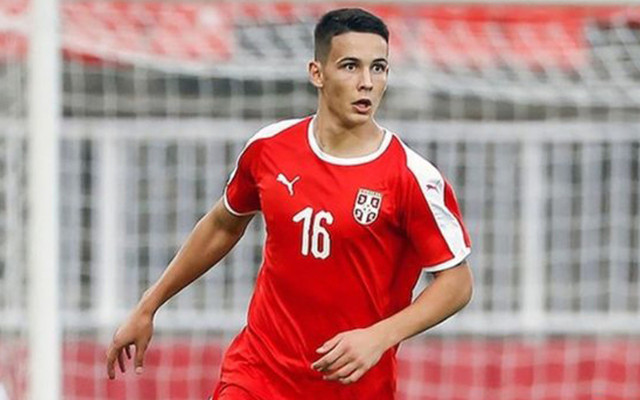 Galatasaray'dan stopere Sırp ikili! Fatih Terim istiyor - Resim: 1