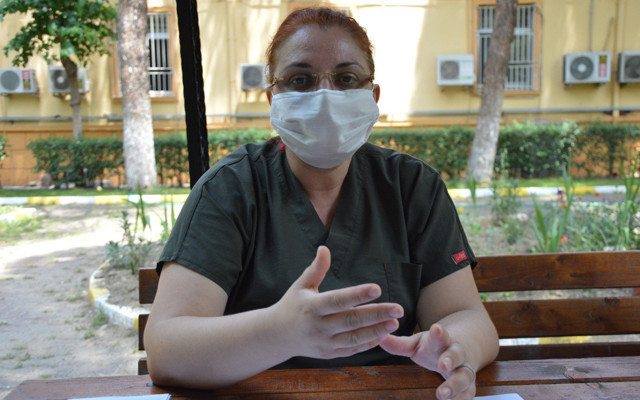 Uzmandan 'Kene' uyarısı: Dizin arkasına,koltuk altına ve kulak içine yapışıyor - Resim: 0