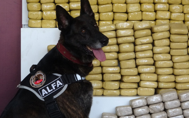 İzmit'te kilolarca eroin yakalandı sakladıkları yer şeytanın aklına gelmez - Resim: 0