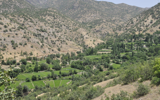 Hakkari'de Mehmetçik dokundu gül bitti 25 yıl sonra mahallede ilk tarım - Resim: 0