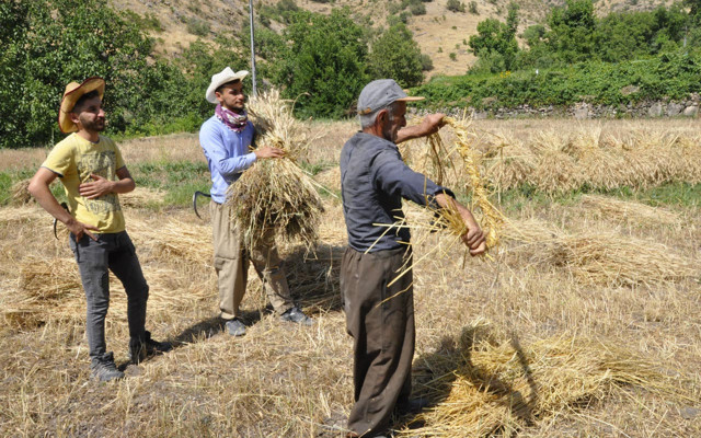 Hakkari'de Mehmetçik dokundu gül bitti 25 yıl sonra mahallede ilk tarım - Resim: 1
