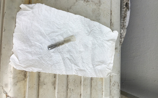 Sakarya'da site bahçesinde buldu AFAD harekete geçti - Resim: 0