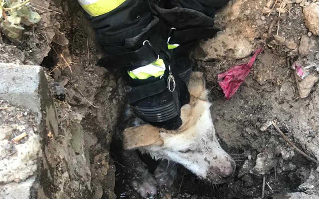 Denizli'de sen oraya nasıl girdin arkadaş! Kurtarma operasyonu nefes kesti - Resim: 1