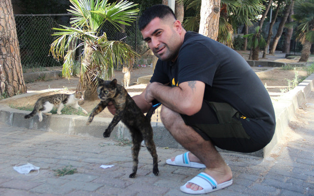 İzmir'de bir kişi kediyi ezmemek için motosikletiyle kaza yaptı - Resim: 0