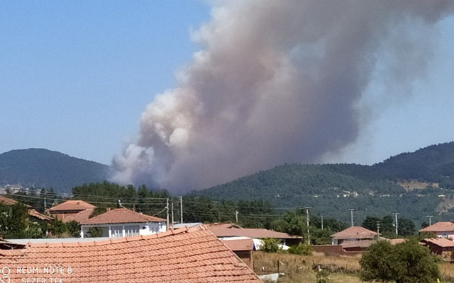 Çanakkele'de orman yangını! - Resim: 0