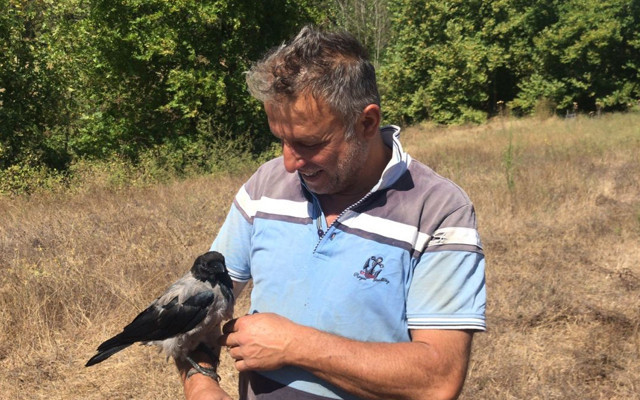 İçleri ısıtan hikaye bu kez Çanakkale'den yem olmaktan kurtarmış - Resim: 0