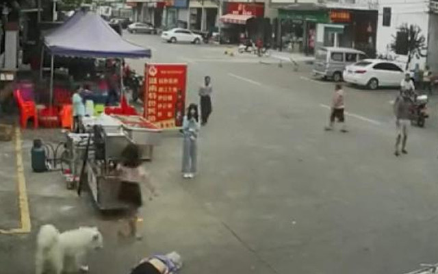 Çin'de köpek tasmasından ölüm geldi yaşlı kadın dikkatsizliğe kurban gitti - Resim: 1