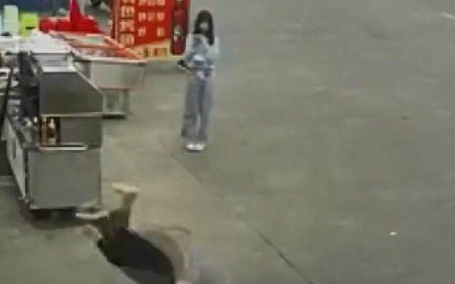 Çin'de köpek tasmasından ölüm geldi yaşlı kadın dikkatsizliğe kurban gitti - Resim: 0