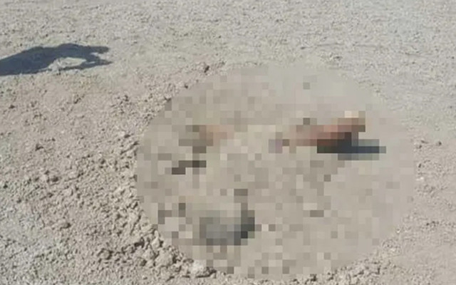 Erzincan'da toprağa gömülü bulundu! Katili gerekçe gösterip itiraf etti - Resim: 0