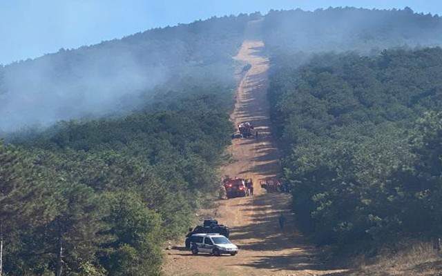 Maltepe'de ormanlık alanda yangın çıktı! Havadan ve karadan müdahale ediliyor - Resim: 0