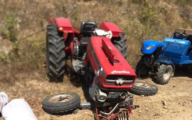 Sakarya'da yaşlı çift birlikte can verdi - Resim: 0