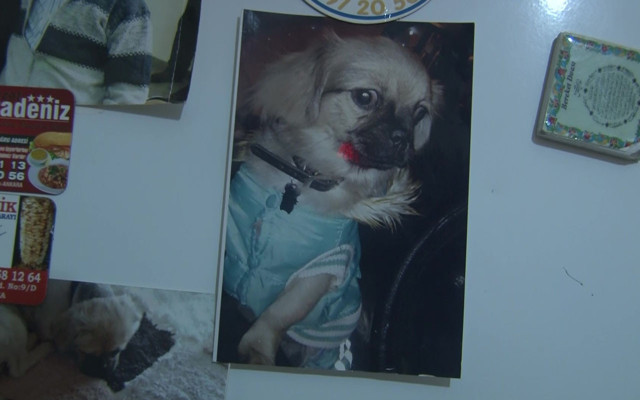 Ankara'da 'şikayeti geri çek' baskısı reddedilen eski sevgili vahşete imza attı - Resim: 1