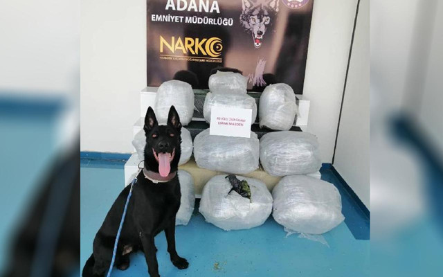 Adana'da TIR'daki şoför yatağında 46 kilo 250 gram uyuşturucu bulundu - Resim: 0