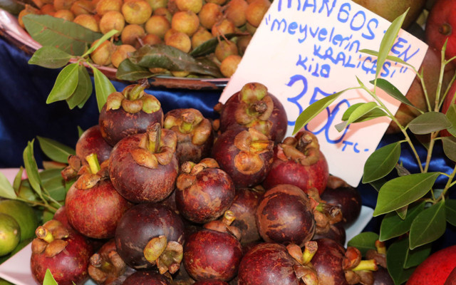 Faydaları saymakla bitmiyor! Antalya'da longan ve mangosta cep yakıyor - Resim: 1