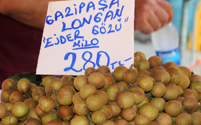 Faydaları saymakla bitmiyor! Antalya'da longan ve mangosta cep yakıyor - Resim: 0
