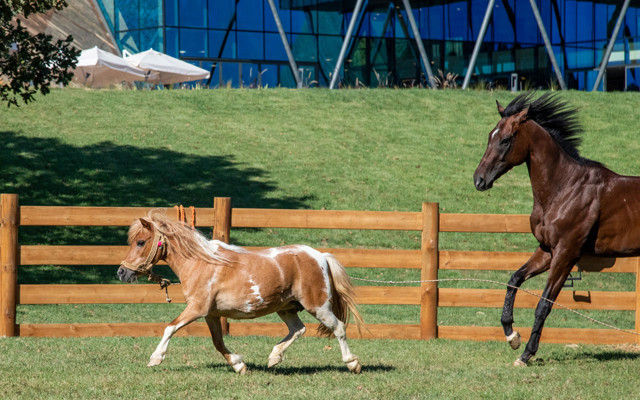 Ormanköy Açık Hava Çarşı Mağazaları için ön talep başladı - Resim: 1