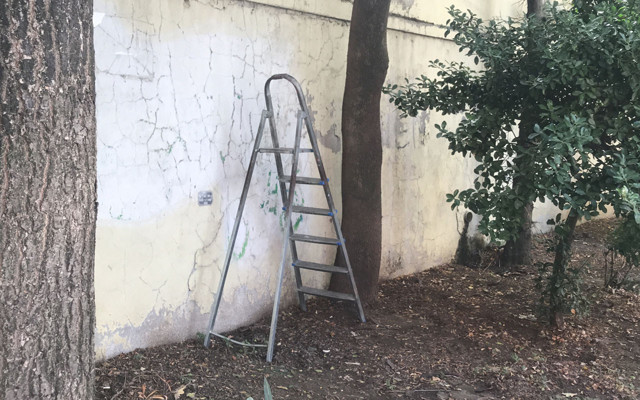 Beyoğlu'nda 'kaçan kuş' ısrarı 14 yaşındaki Yiğit'i yaraladı - Resim: 0