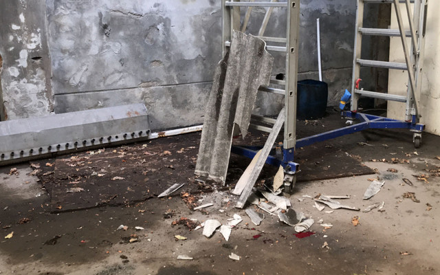 Beyoğlu'nda 'kaçan kuş' ısrarı 14 yaşındaki Yiğit'i yaraladı - Resim: 2