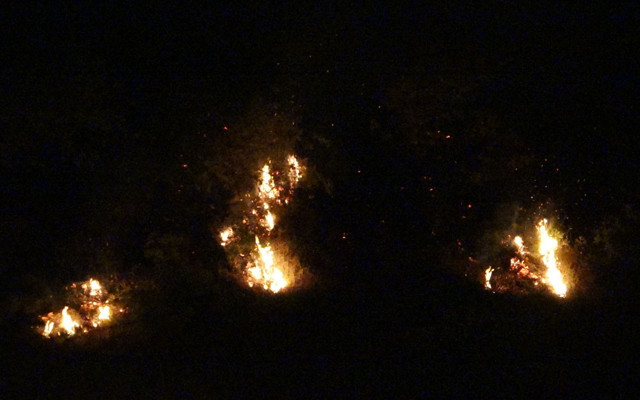 Trabzon'da otluk alanda çıkan yangın 1 saatte söndürüldü - Resim: 0