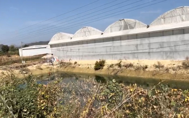 Antalya'da ölü bulunan Afgan'ın katili oda arkadaşı çıktı cinsel saldırı nedeniyle öldürmüş - Resim: 0
