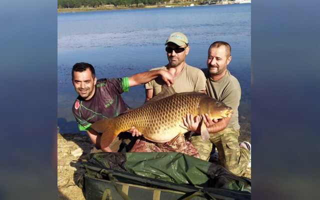 Bilecik'te yakaladığı sazanı böyle çıkarttı büyüklüğü dikkat çekti - Resim: 0