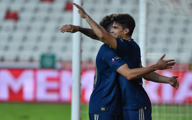 Antalyaspor Fenerbahçe maçı golleri ve geniş özeti - Resim: 2